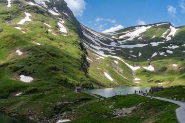 Grindelwald, İsviçre - 20 Temmuz 2024: Grindelwald İsviçre 'deki Bachalpsee Gölü yolunda yürüyüş yapan yürüyüşçüler, İsviçre Alpleri' nde ilk sırada