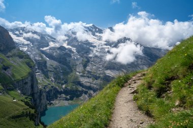 İsviçre 'de Oeschinensee Gölü yürüyüşü, İsviçre Alplerinde Kandersteg yakınlarında, patikada kır çiçekleri