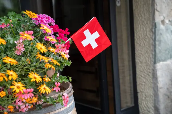 stock image Switzerland flag in a flower pot