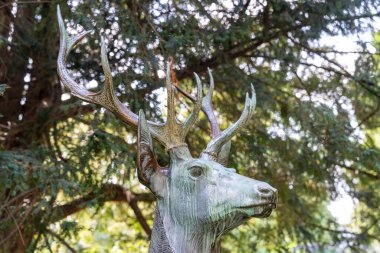 Zürih, İsviçre - 17 Temmuz 2024: İsviçre Zürih şehrindeki Platzspitz Parkı 'nda bronz geyik heykeli