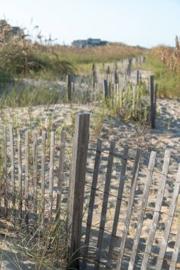 Kumsaldaki kumları kontrol etmek için çit örüyorlar Kuzey Carolina 'ya doğru gidiyorlar.
