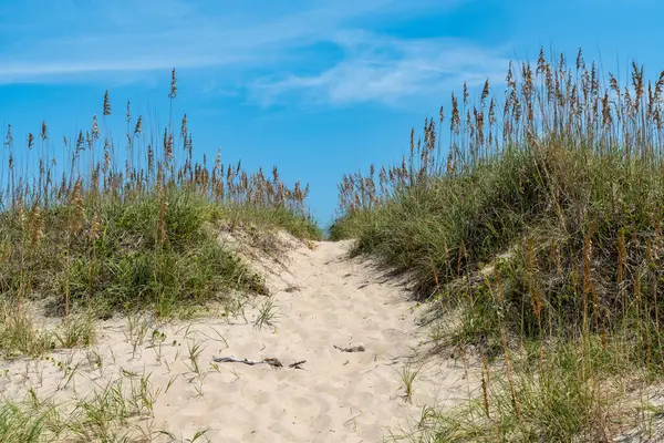 stock image Sand dune walkway and sea oats leading to the beach and ocean on the Cape Hatteras National Seashore in North Carolina, Outer Banks