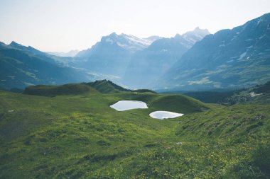 Mannlichen 'den Kleine Scheidegg' e açık bir yaz gününde İsviçre 'de yürüyüş manzarası