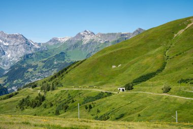 İsviçre treni yazın Lauterbrunnen 'den İsviçre Alpleri' ndeki Kleine Scheidegg 'e gider.