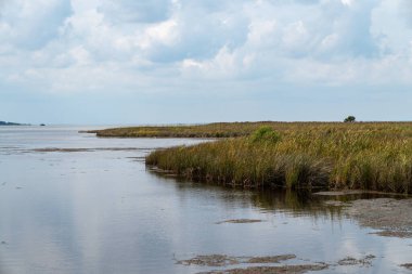 Currituck Banks bataklık bölgesi Estuaine deniz ormanı yürüyüş alanı Kuzey Carolina 'nın Dış Kıyıları