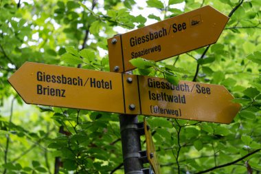Brienz Gölü 'ndeki Giessbach şelalesi ve otellerinin yakınlarında yürüyüş izleri. İsviçre