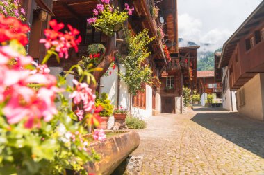 Brunngasse Caddesi, Brienz, İsviçre 'de saksı bitkileri. Bu cadde Avrupa 'nın en güzel sokağı seçildi.