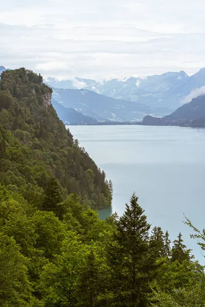 Giessbach bölgesinden bulutlu bir günde Brienz Gölü manzarası. İsviçre