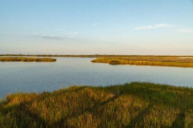 Cape Hatteras 'ın kıyı sulak alanları ve bataklığı Ulusal Deniz Kıyısı - Dış Kıyılar Kuzey Carolina