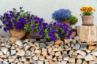 Ağaç kütükleri ve çiçek kutuları, İsviçre Gimmelwald köyünde çekildi.