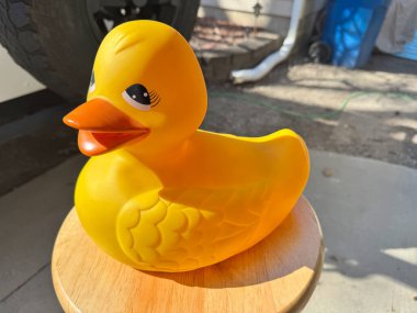 Dışarda bir taburede oturan dev sarı plastik ördek.