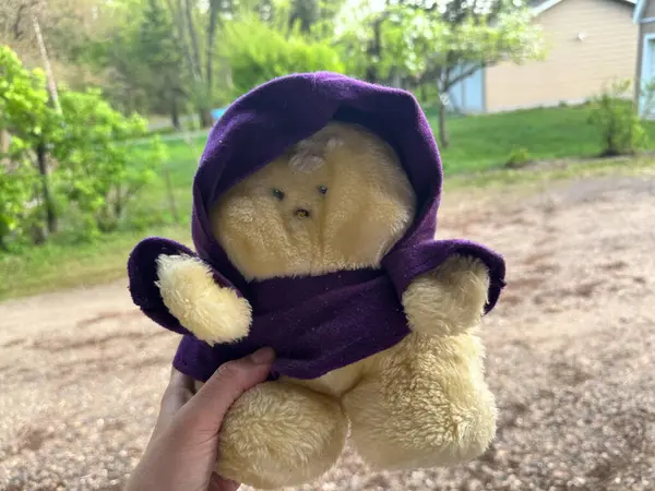 Scandia, MInnesota - 9 Mayıs 2025: 1984 model Chubbles 80 'lerden kalma interaktif pelüş oyuncakları aydınlatıyor. Oyuncak ışığa maruz kaldığında yanıp sönüyor