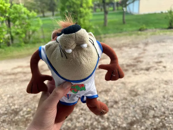 Scandia, Minnesota - 9 Mayıs 2025: Hand 1996 Taz Tazmanian Devil pelüş oyuncağını Space Jam filminden tutuyor. Bu McDonalds 'ın promosyon ürünüydü.