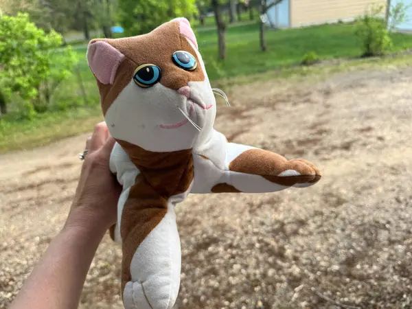 Scandia, MInnesota - 9 Mayıs 2025: 1980 'lerin orijinal Pound Purries kedi doldurulmuş