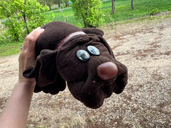 Scandia, MInnesota - 9 Mayıs 2025: 1980 'lerin özgün doldurulmuş hayvan yavruları