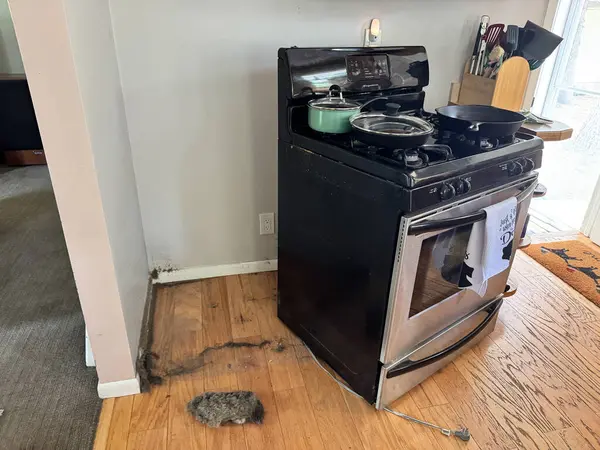 Dağınık, kirli, tozlu bir mutfakta fırından sonra, taşıyıcı taşınmadan önce kaldırılır.