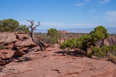 Colorado Ulusal Anıtı - Fruita ve Grand Junction Colorado yakınlarındaki kanyon manzarası