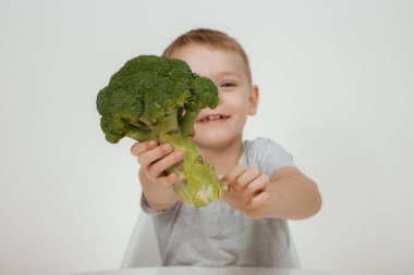 Sağlıklı bebek maması kavramı. Yakışıklı genç çocuk elinde taze yeşil brokoli tutuyordu. Sağlıklı gıda konsepti.