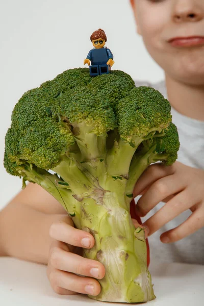 stock image Little boy exercising with a broccoli playing with Lego minifigureslot on white background. The broccoli and Lego minifigureslots in the hands of a cheerful boy child. The concept of healthy baby food