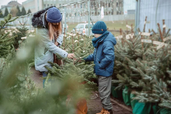 幼い母親と息子がクリスマスツリーを買っている 屋外の家族一緒にクリスマスツリーを選択します 幸せな男の子とともに彼の愛する母親選択新鮮なカットクリスマスツリーで屋外 — ストック写真