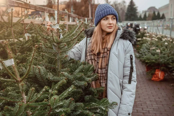 エレガントな女の子はクリスマスツリーを購入します 女性の青いキャップとスカーフ 金髪の美しい女性 クリスマスの時間 — ストック写真