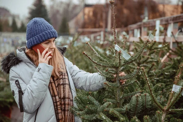 エレガントな女の子はクリスマスツリーを購入します 陽気な女性はクリスマスツリーと一緒に立っている間に電話で話します クリスマスツリーに立っている間 携帯電話を使用して若い女性 新年の気分と小売のアイデア — ストック写真