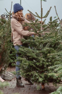 Zarif bir kız Noel ağacı alır. Mavi şapkalı ve atkılı kadın. Sarışın, güzel bir bayan. Noel zamanı..