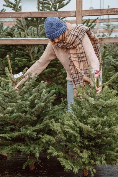 stock image Beautiful girl chooses a Christmas tree. A beautiful girl in a blue cap, scarf chooses a Christmas tree.