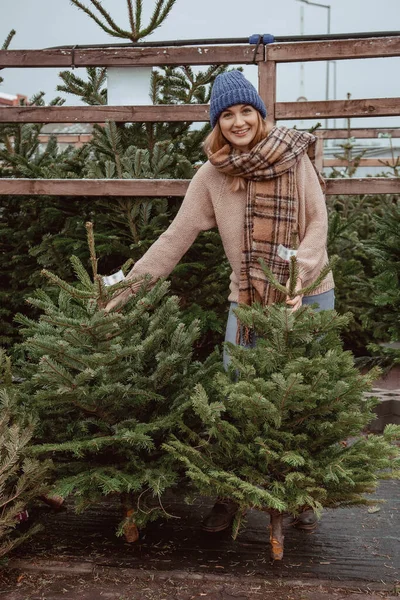美しい女の子はクリスマスツリーを選択します 青い帽子の美しい女の子 スカーフはクリスマスツリーを選択します — ストック写真