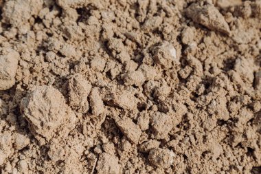 Kaba ve ince parçacıkların karışımını ortaya çıkaran detaylı bir dünya dokusu. Dünya kuru ve parçalanmış görünüyor. Geçmişler, doğal dokular ve jeolojik çalışmalar için ideal..