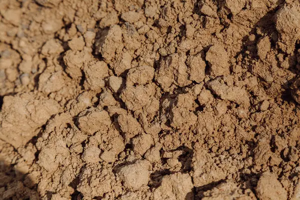 Kaba ve ince parçacıkların karışımını ortaya çıkaran detaylı bir dünya dokusu. Dünya kuru ve parçalanmış görünüyor. Geçmişler, doğal dokular ve jeolojik çalışmalar için ideal..