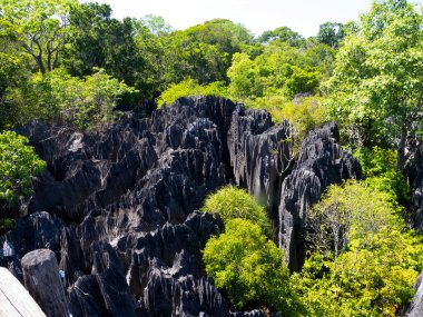 The sharp gray rocks of Tsinga Bemaraha, a UNESCO World Heritage Site above, are then green. Madagascar