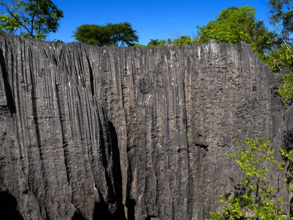 The sharp gray rocks of Tsinga Bemaraha, a UNESCO World Heritage Site above, are then green. Madagascar