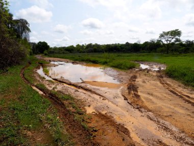 The roads in the south of Madagascar are sometimes difficult to pass even with four-wheel drive.
