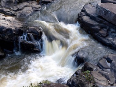 Foamy water in a stream in Ranomafana National Park. Madagascar