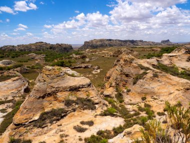 Weathered colorful rocks overgrown with vegetation in N.P Isalo. Madagascar.