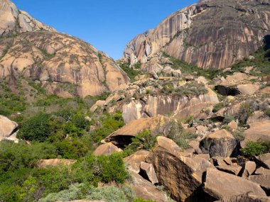 The graceful rocks in the National Park are home to the Ring tail lemur. Ranomafana, Madagascar