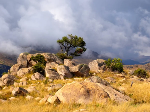 Krásná Krajina Horách Aderigitra Jižní Madagaskar — Stock fotografie