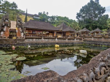 Pura Tirta Empul, kutsal suyla dolu büyük bir havuz, süs balığı. Bali Endonezya,
