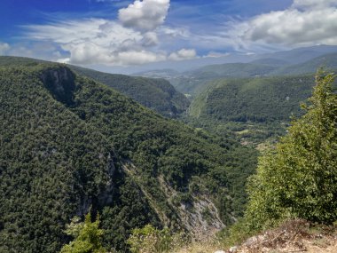 Uno Ulusal Parkı 'ndaki güzel ormanlık alan. Bosna-Hersek