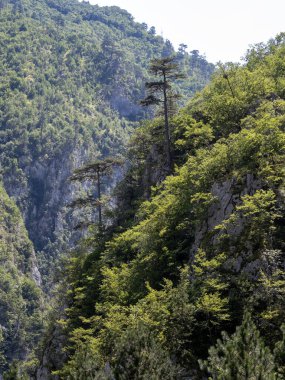 Karadağ 'daki Durmitor Milli Parkı' nın güzel dağları