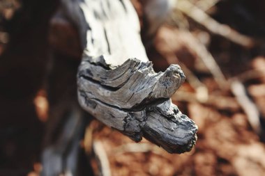 Kumsaldaki eski paslı metal çit.