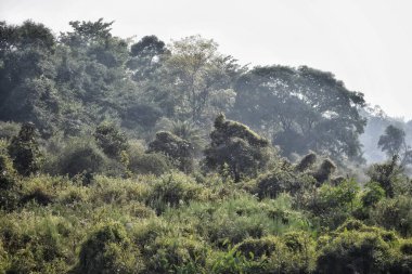 Doğanın güzel manzarası