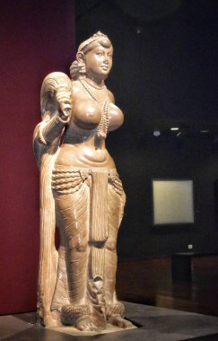 Antik bir taş heykel Didarganj Yakshi adında çıplak bir kadın