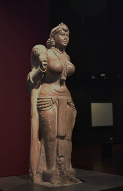 Antik bir taş heykel Didarganj Yakshi adında çıplak bir kadın