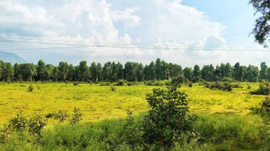 Yeşil tarlaları ve dağları olan manzara