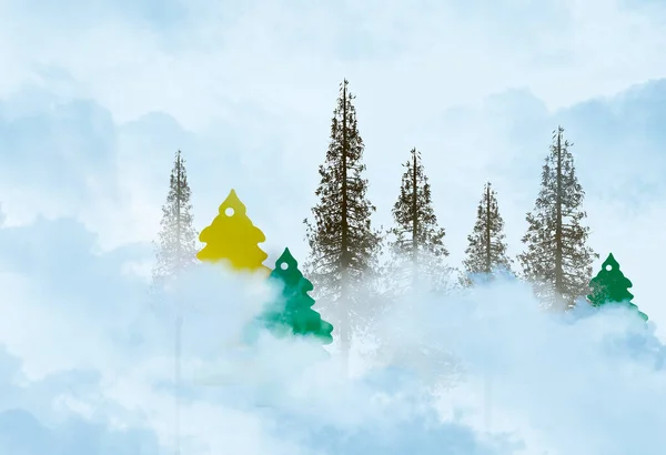 Δέντρα Διαπερνούν Την Ομίχλη Ένα Ορεινό Τοπίο Δέντρα Είναι Τόσο — Φωτογραφία Αρχείου