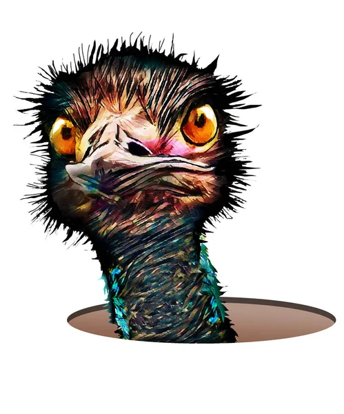 Zabawnie Wyglądające Emu Ptaki Szturchają Głowami Otwory Tej Trójwymiarowej Ilustracji — Zdjęcie stockowe