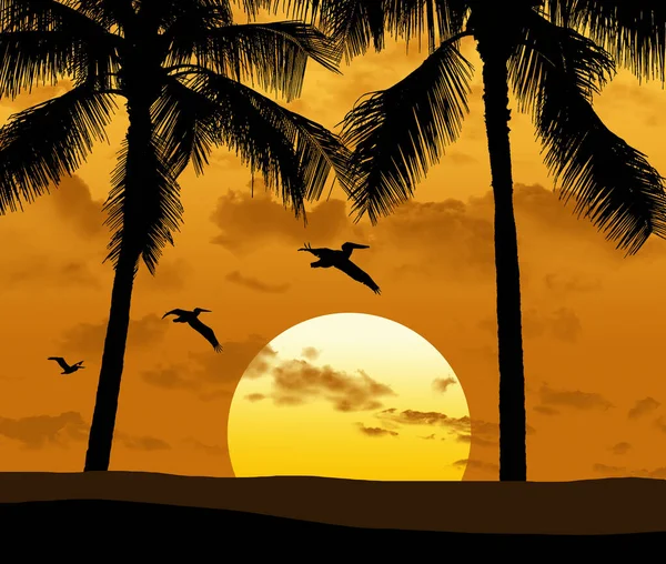 Palmy Západ Slunce Létající Pelikáni Dělají Ilustraci Tropického Ráje — Stock fotografie
