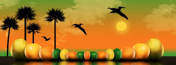 Osm Populárních Citrusových Plodů Vyobrazeno Ilustraci Pelikáni Palmy Přidávají Scéně — Stock fotografie